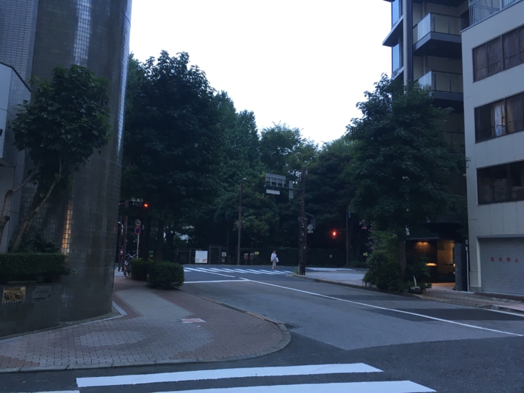 久々に新宿御苑に来て想いにふける