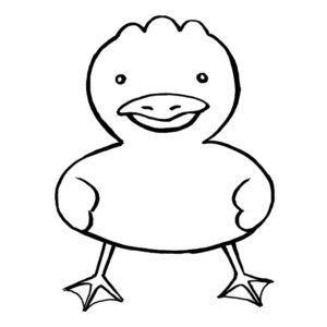 鳥のイラスト