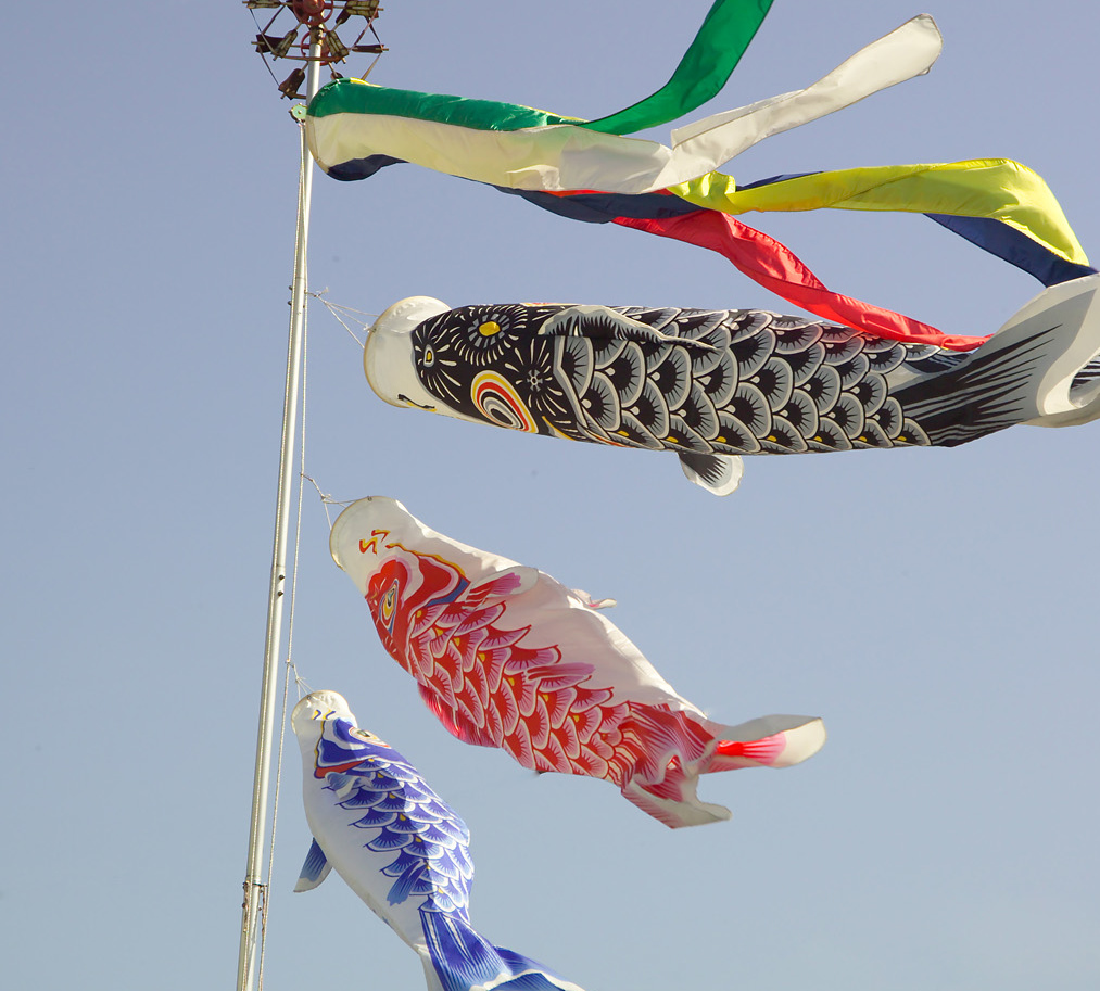 Праздник мальчиков в японии 4 класс. Кодомо-но Хи. Танабата рыбки. День детей (кодомо но Хи). Есть в Японии праздник мальчиков.