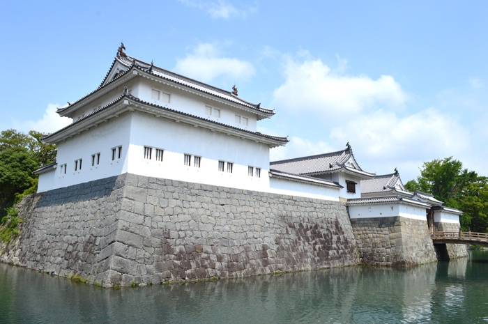 徳川家康は、なぜ駿府城で隠居したのか？