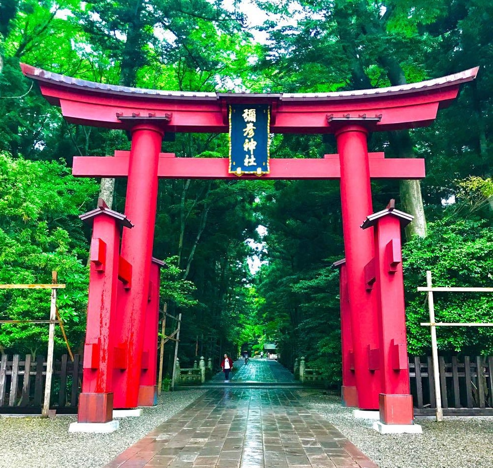 一宮 彌彦神社（弥彦神社）に参拝に行ってきた【新潟オススメ観光】