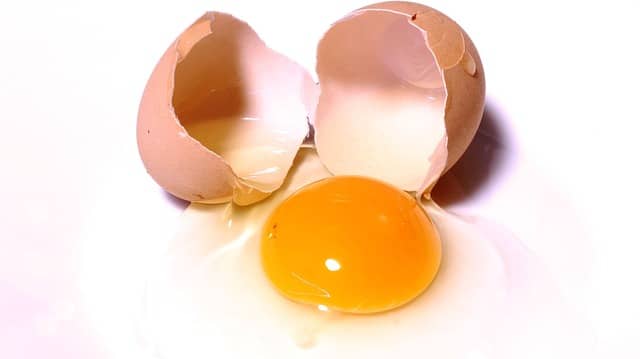 卵の殻の再利用術 5選「捨てるだけではもったいない」