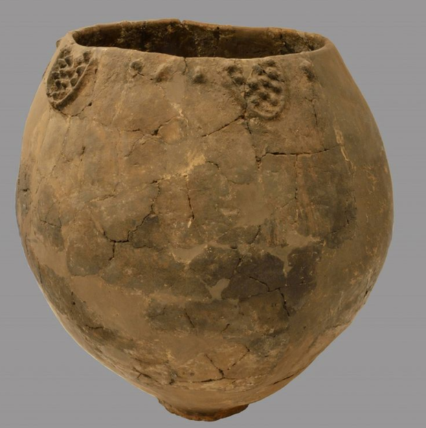 ワインの歴史について調べてみた【最古は紀元前6000年前】 草の実堂