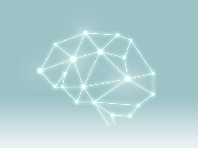 本当は嘘？「男脳・女脳」は非科学的