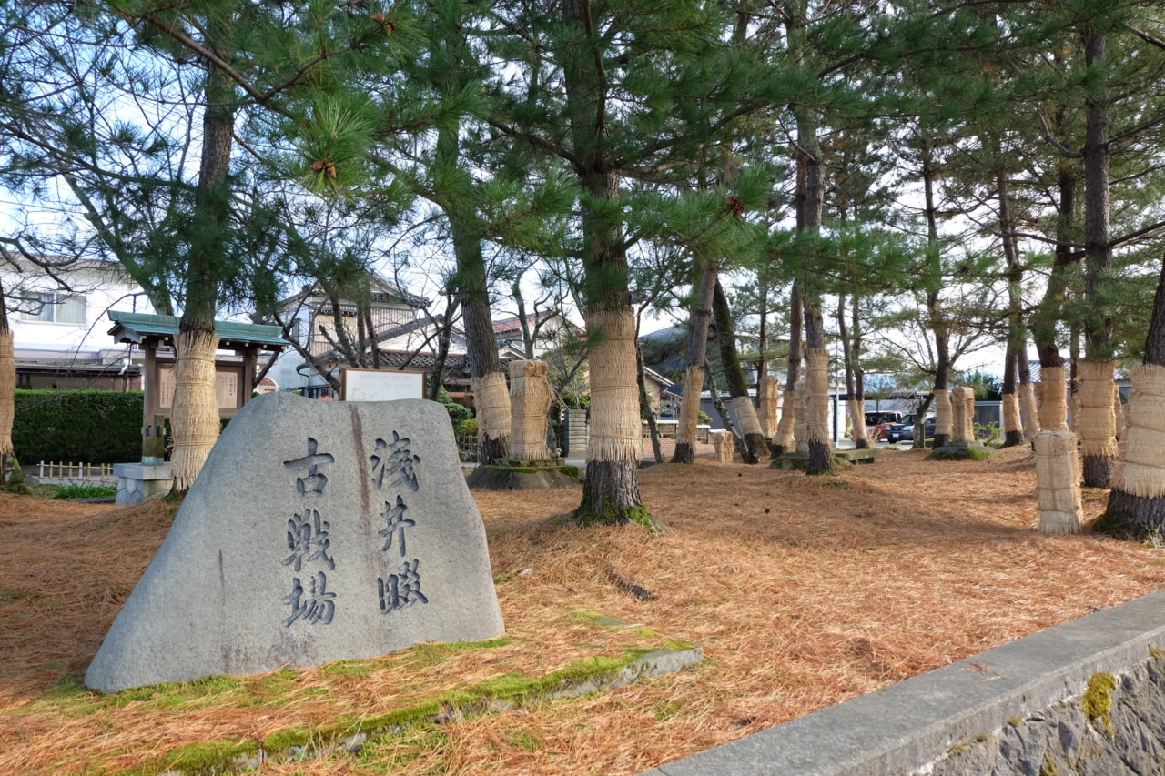 空論 うつろ 屋軍師 江口正吉 信長や秀吉が称賛した丹羽家の猛将 草の実堂