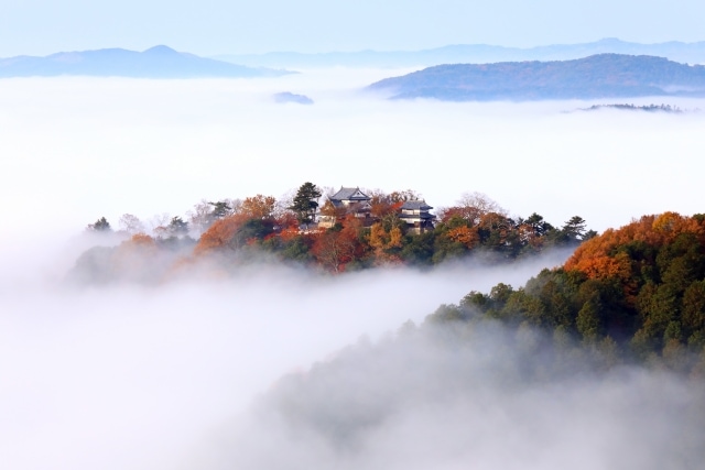 江戸幕府最後の老中「板倉勝静」と天空の城「備中松山城」