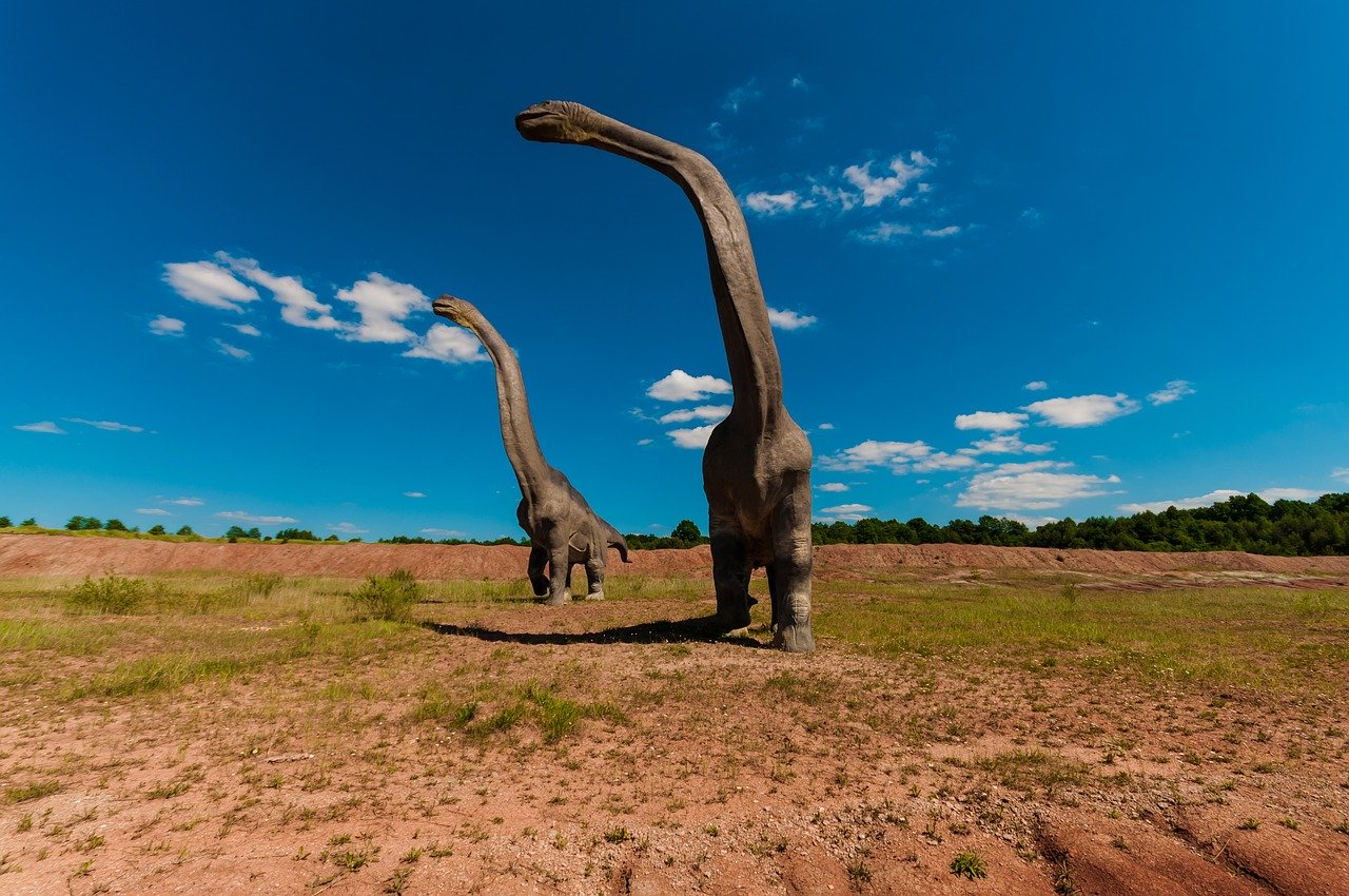 ブラキオサウルス 巨大恐竜界のスーパースター 草の実堂