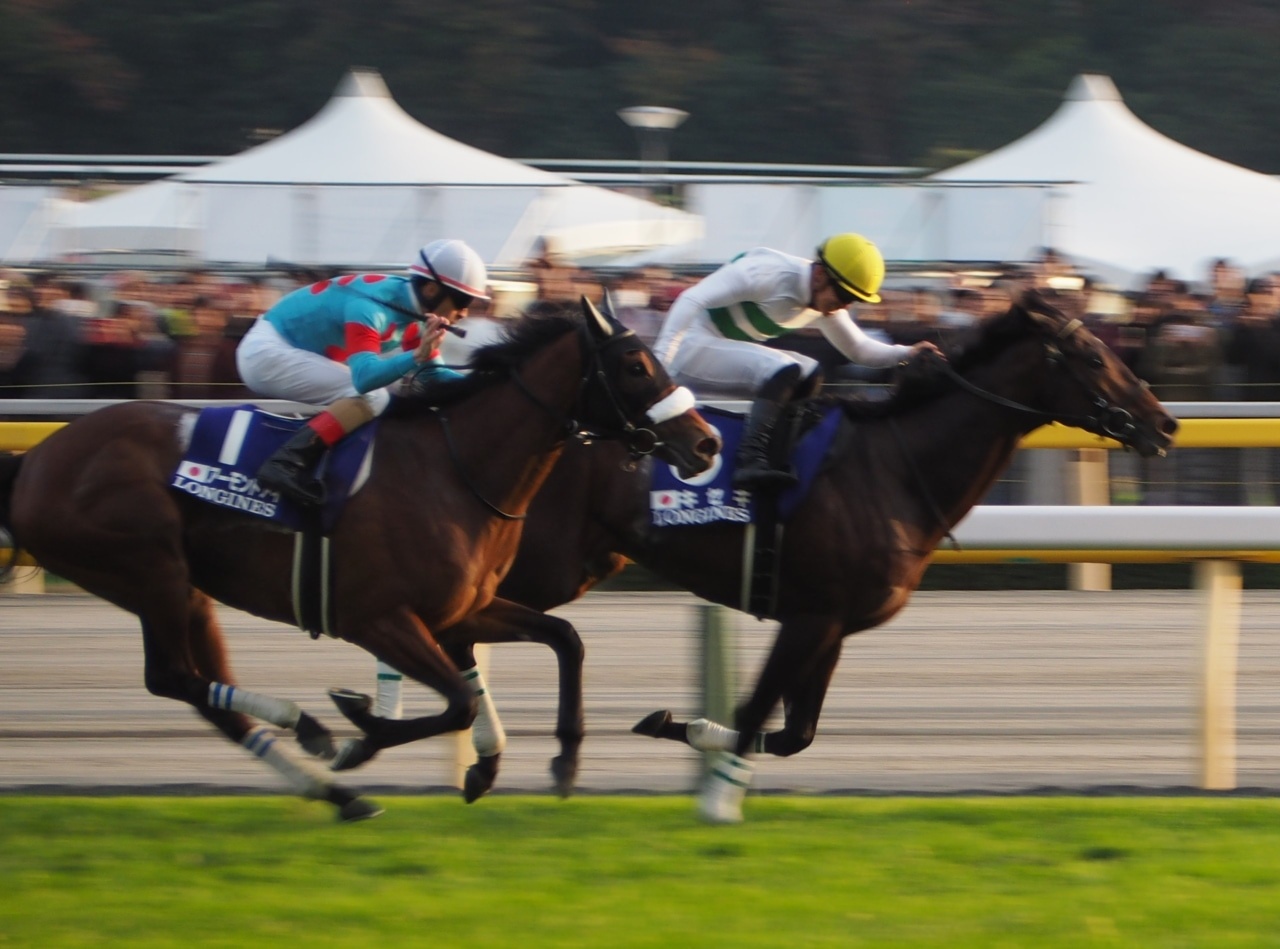 ジャパンカップの歴史を調べてみた【驚異の世界レコードタイム アーモンドアイ】