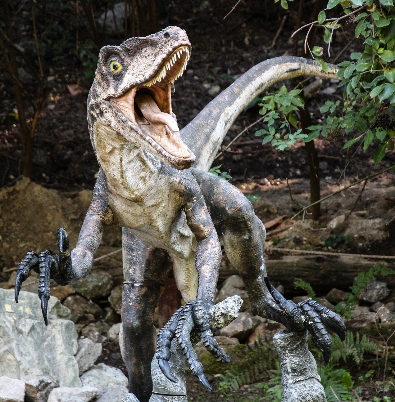 恐竜界の革命児 ヴェロキラプトル 【ジェラシックパークで大ブレイク】