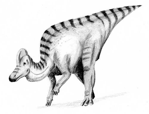 コリトサウルスの貴重な発見【ミイラ化石からスターダムへ】