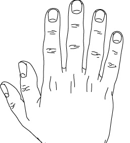 豊臣秀吉の右手には指が６本あった説