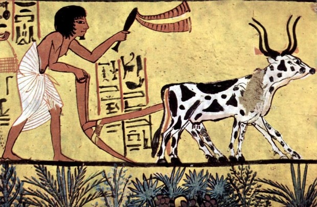 家畜の歴史
