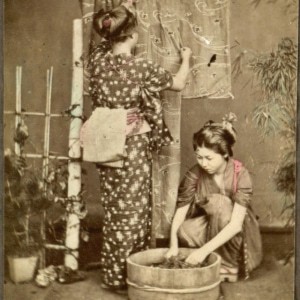 日本の洗濯と洗濯機の歴史