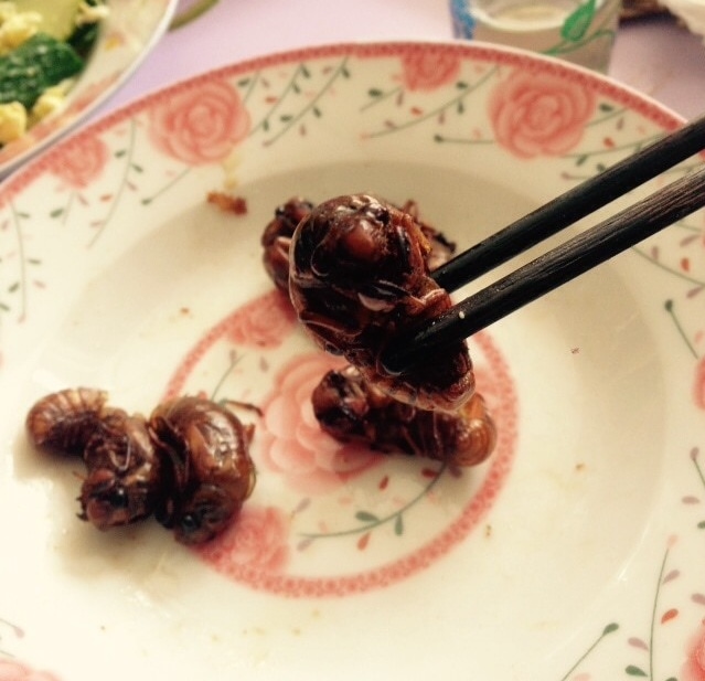 中国の食文化について調べてみた 【山東料理、昆虫食】