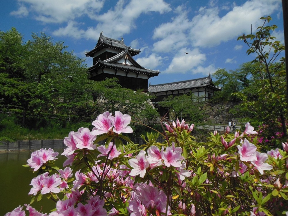 【影の太閤】豊臣秀長の死と、秀長にまつわる5つの逸話