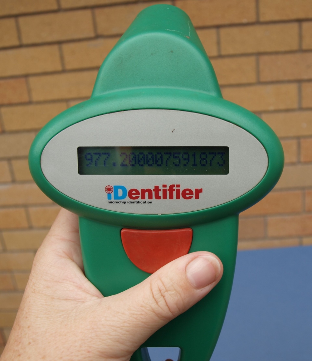 ペットへのマイクロチップ装着義務化が日本でも導入 【費用は5,000～10,000円】