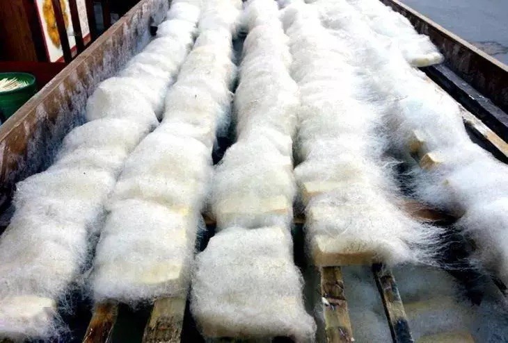 中国、台湾の臭いけど美味な 「臭豆腐、毛豆腐」