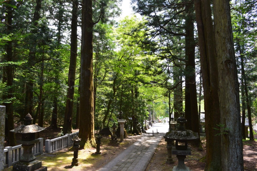 【GW中に神隠し？】赤城神社主婦失踪事件とは