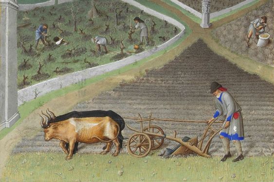 中世ヨーロッパで行われていた動物裁判