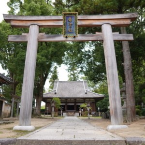 画像：大田田根子を祀る摂社若宮神社。（撮影：高野晃彰）