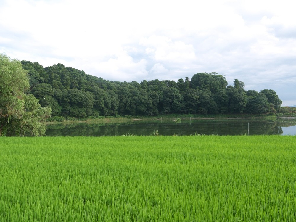 箸墓古墳の主・倭迹迹日百襲姫命（やまとととびももそひめ）は誰だ？ その正体を検証する