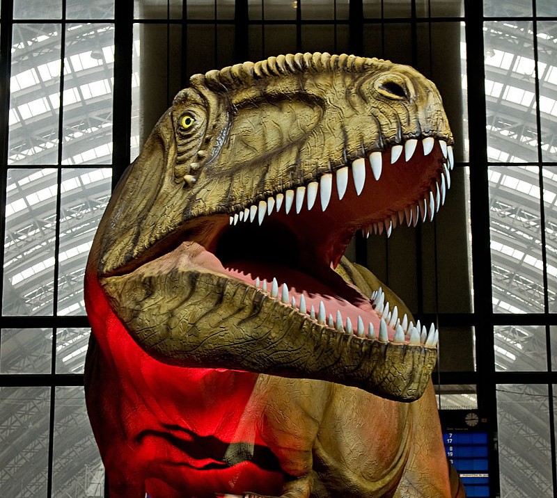 ギガノトサウルス ～T-REXよりも大きなアルゼンチンの支配者