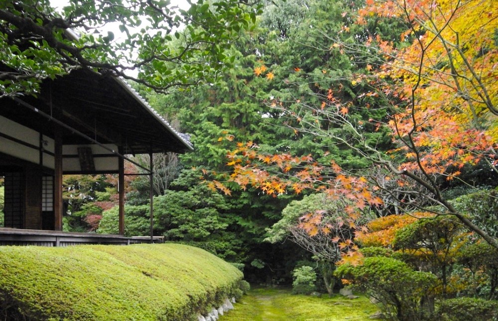 【京都の名庭園を訪ねる】 大本山妙心寺塔頭・桂春院、大心院、退蔵院の庭園鑑賞に行ってみた
