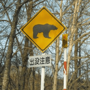 日本のクマを絶滅させたらどうなるのか？