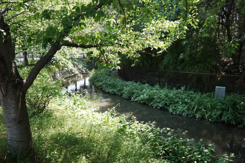 画像：平野郷環濠跡（撮影：高野晃彰）