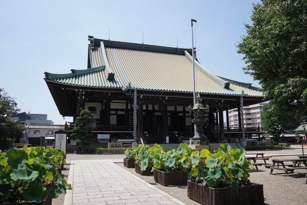 画像：大念仏寺（撮影：高野晃彰）