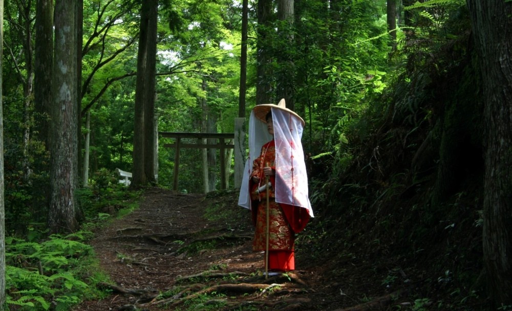 国内外からのリピーター続出！大人気観光地の「熊野古道」 その歴史と魅力とは