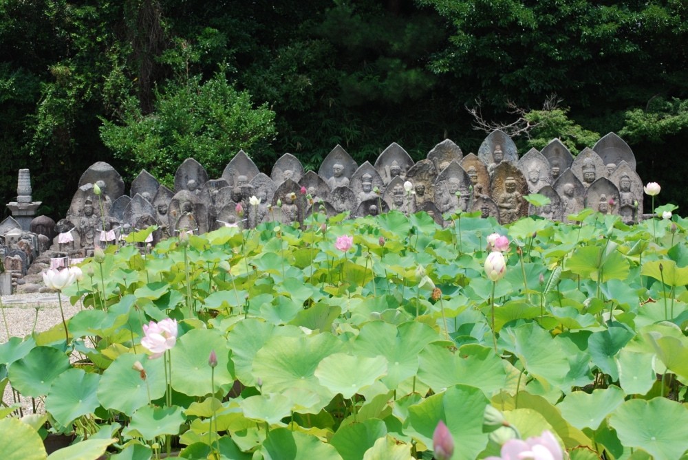 喜光寺に行ってみた