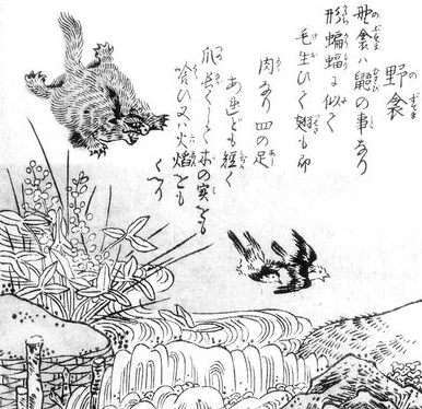 「ムササビとコウモリ」の妖怪伝承 ～空を舞う異形たち