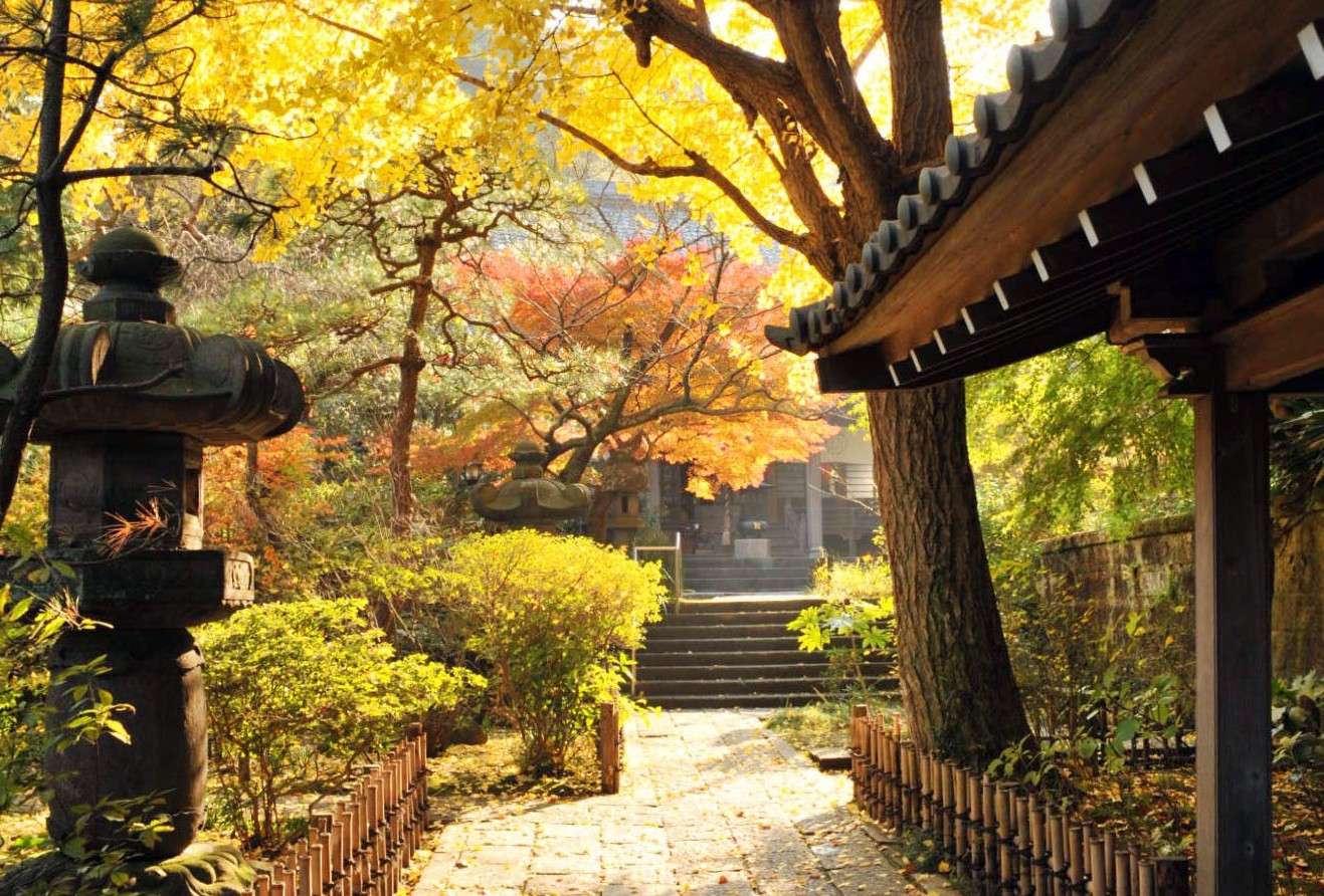 『黄金のイチョウ』この秋ぜひ訪れたい鎌倉「安国論寺」〜日蓮ゆかりの聖地