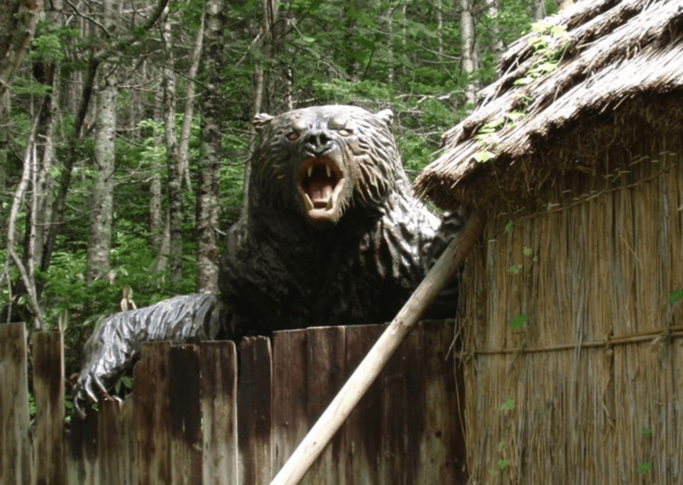 日本史上最悪の獣害「三毛別羆事件」から110年｜なぜクマは増え、人里に降りてくるのか？