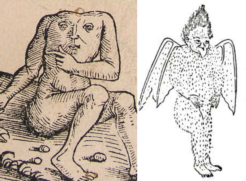 古代人は何を見たのか？実在すると信じられていた「怪人種族」たち