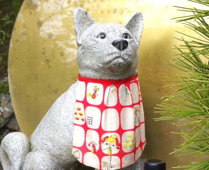 神仏に導かれた野良犬 高野山の険しい山道20キロ超を導いた案内犬・ゴン